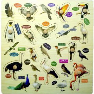 Bảng song ngữ các loài chim núm gỗ - G121D