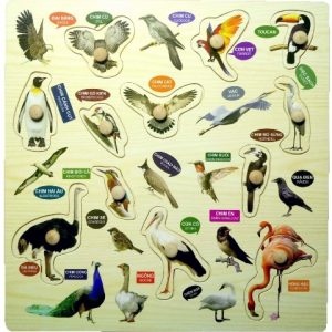 Bảng song ngữ các loài chim núm gỗ - G121D